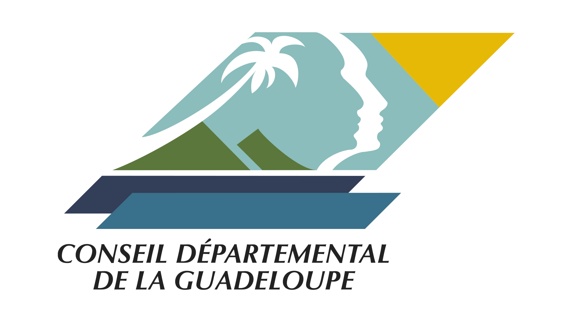 Conseil départemental