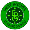 Vert Intense