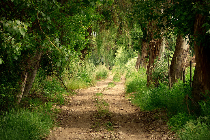 Sentier trail
